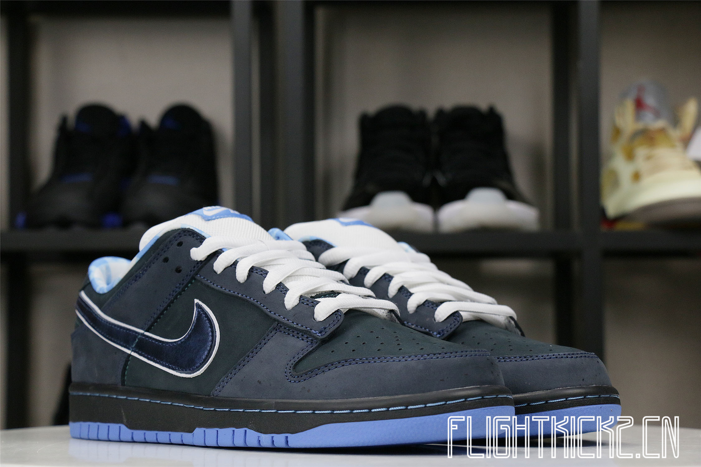 Nike Dunk SB Low Blue Lobster