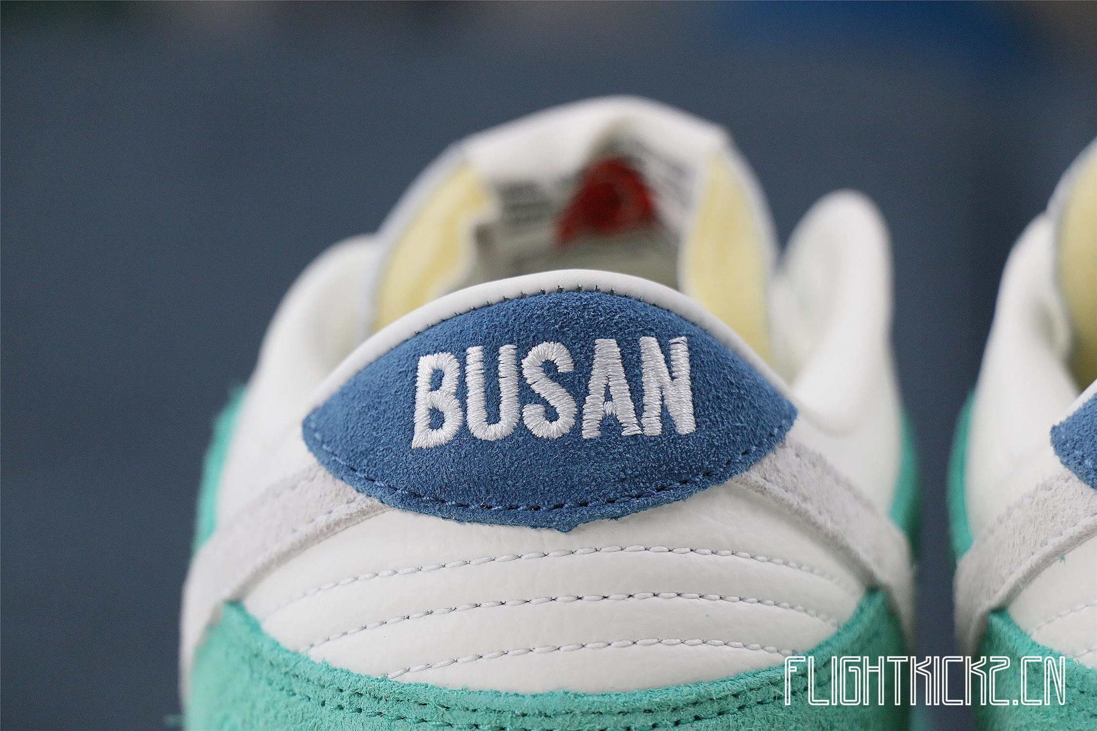 Nike Dunk Low Kasina Neptune Green