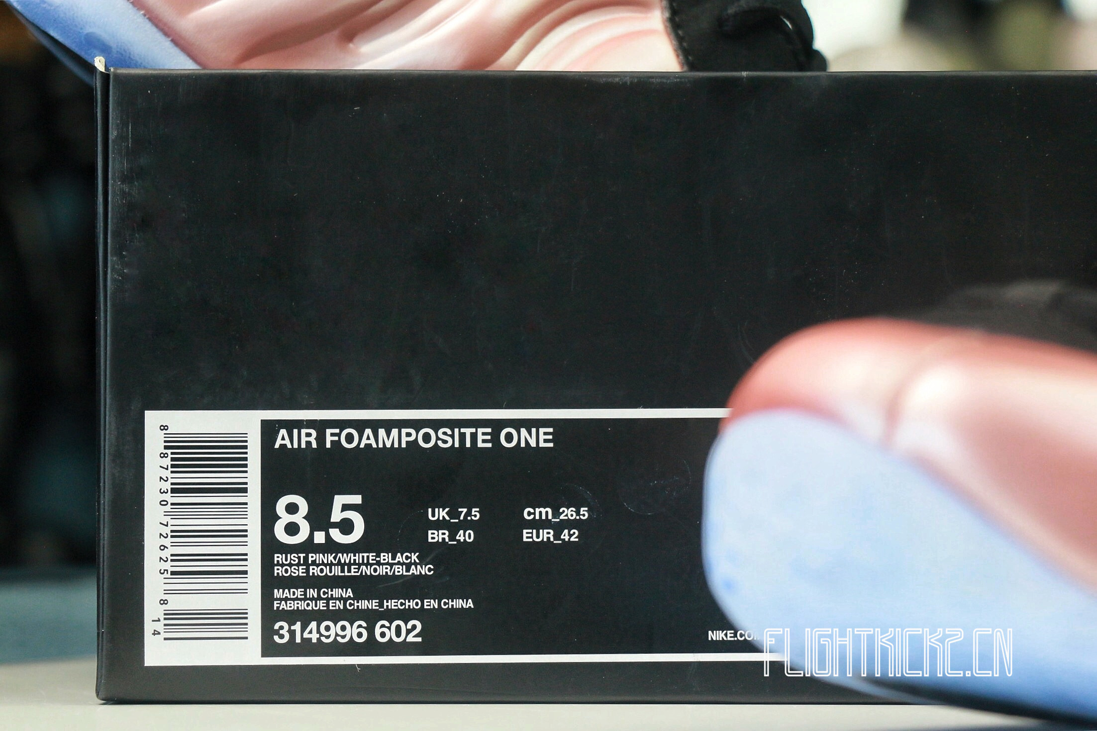2018 Air Foamposite One Elemental Rose