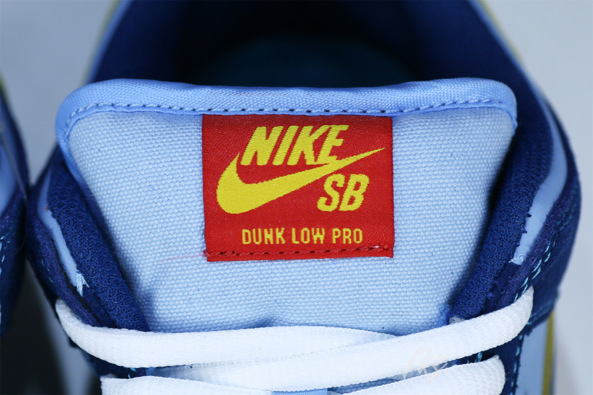 Why So Sad X Dunk Low SB The Predatory Bird