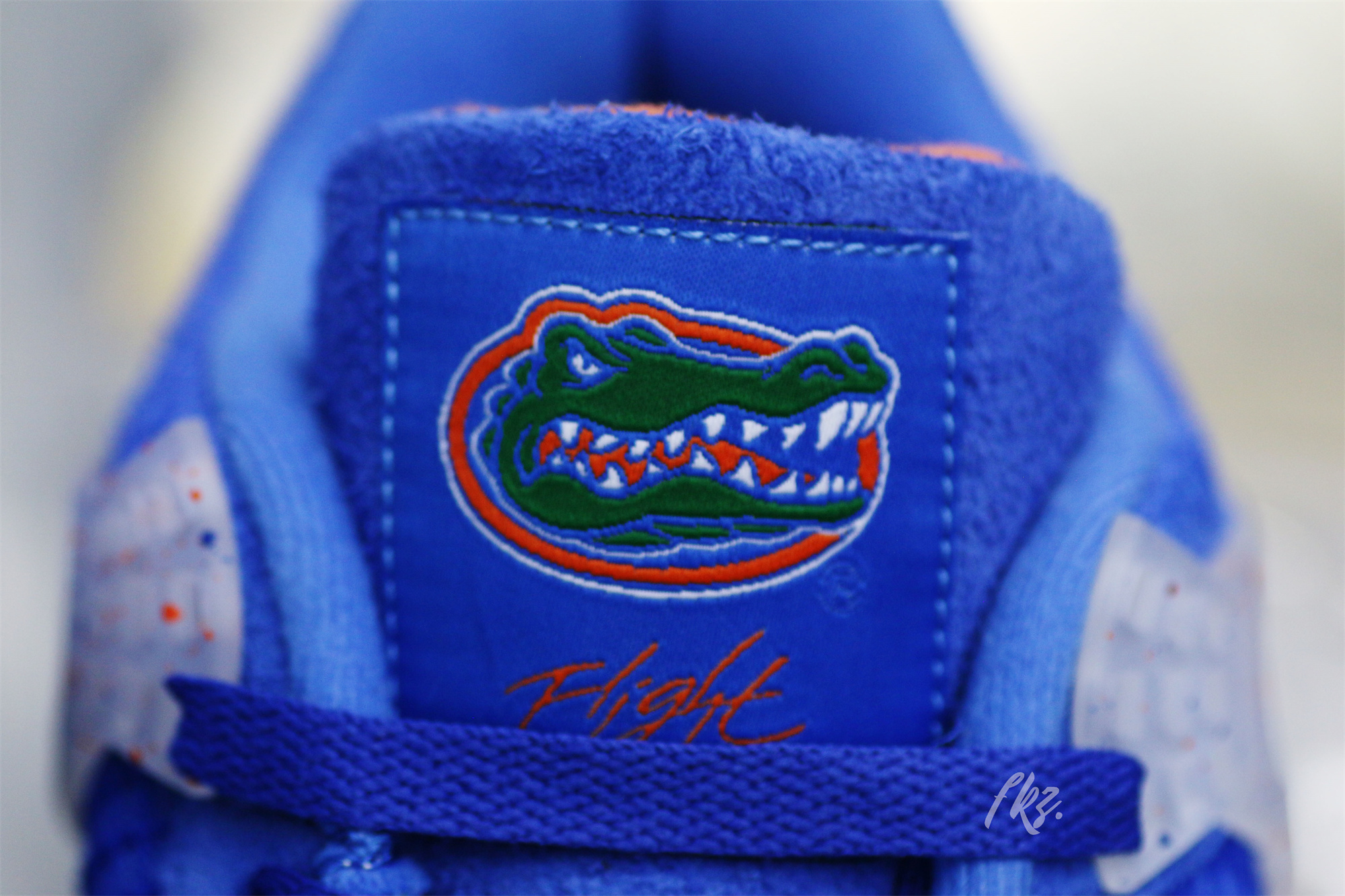 Air Jordan 4 Florida Gators PE