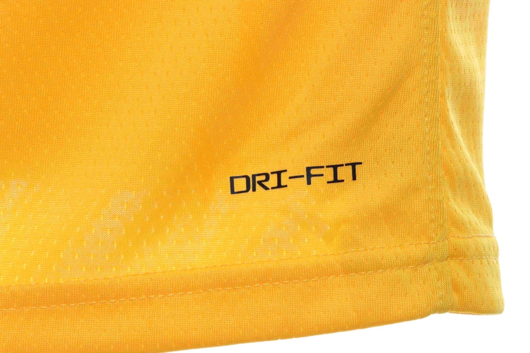 Nk NBA Lakers James James No. 6 jersey