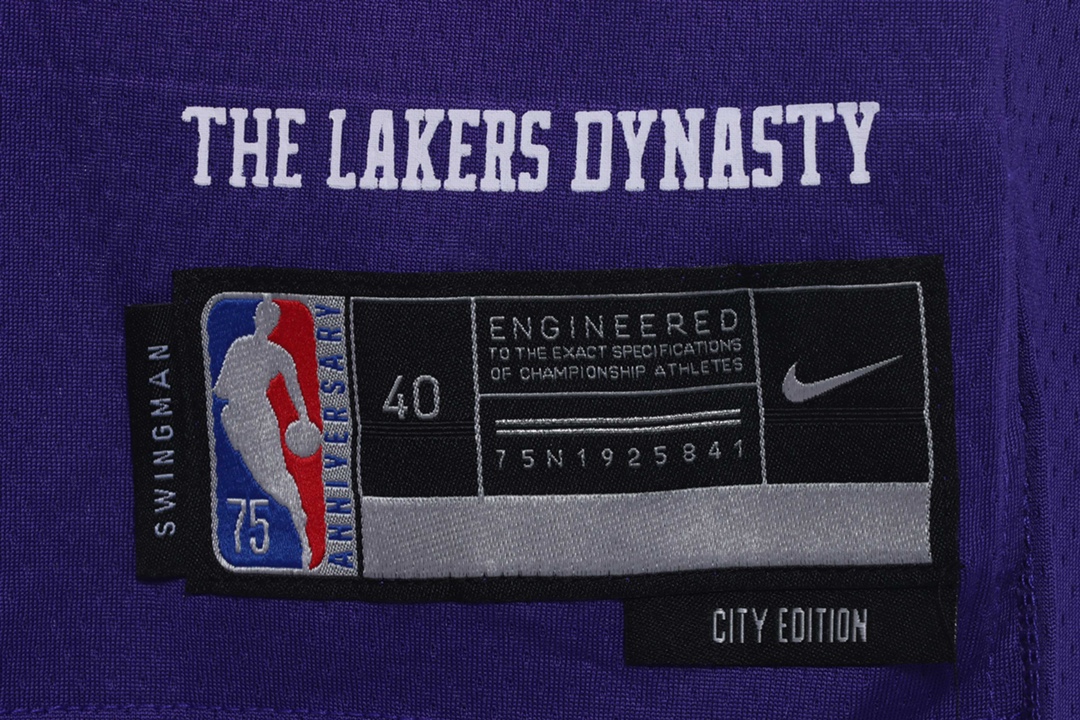 NBA Lakers James James No. 6 jersey