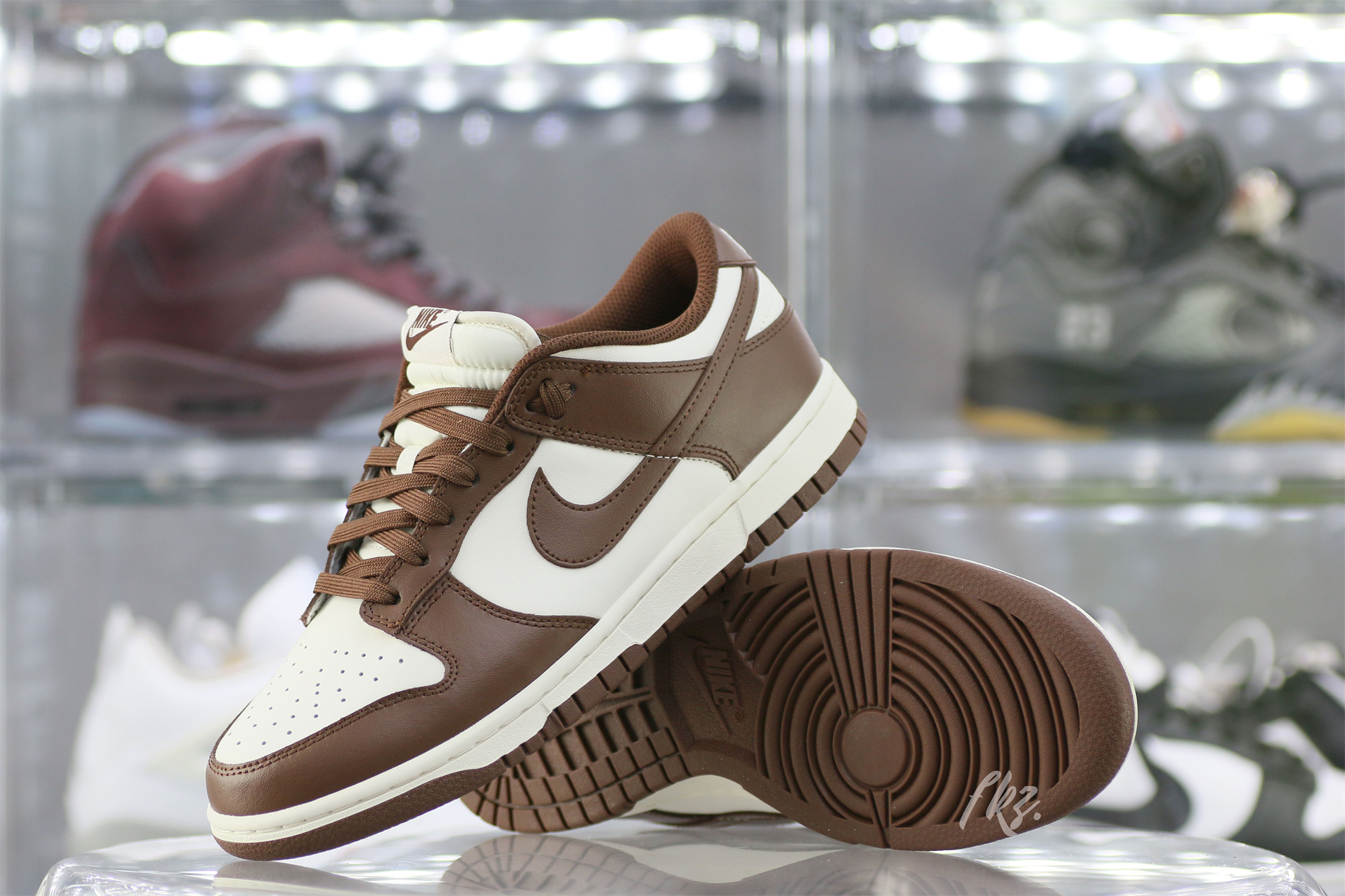 Nike Dunk Low Cocao Wow Brown Sail 2023
