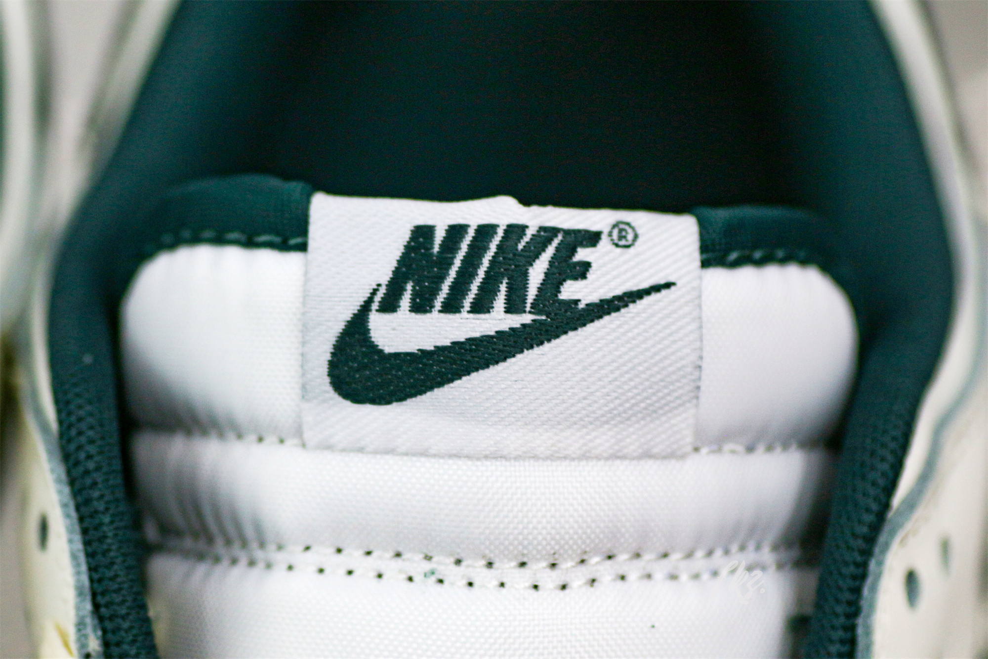 Nike Dunk Low Athletic Department in Deep Jungle