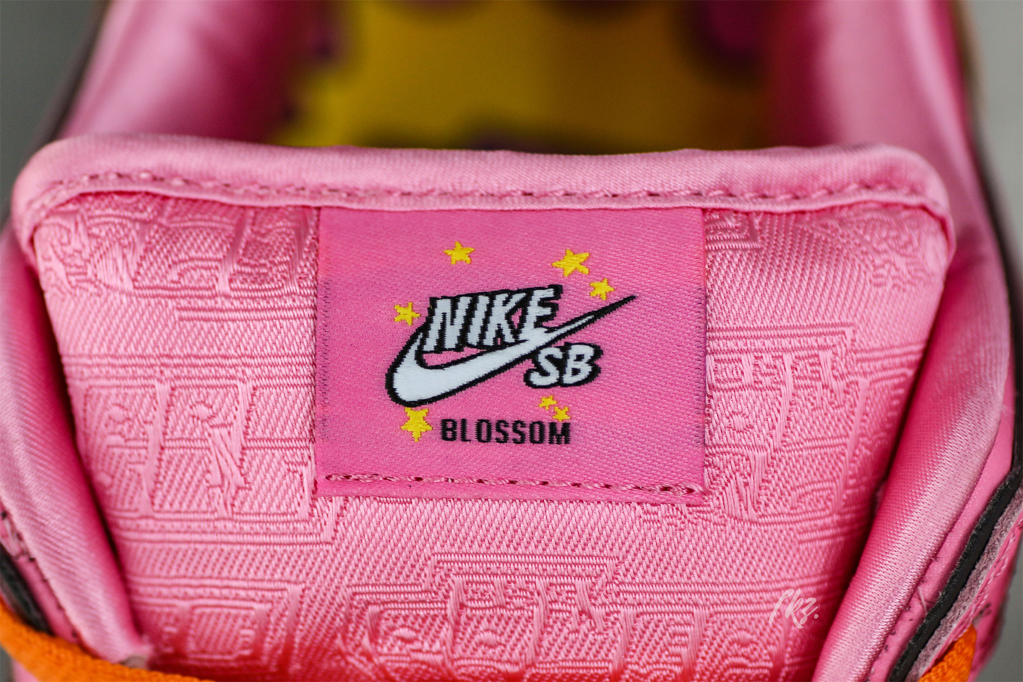 The Powerpuff Girls x Nike SB Dunk Low Blossom