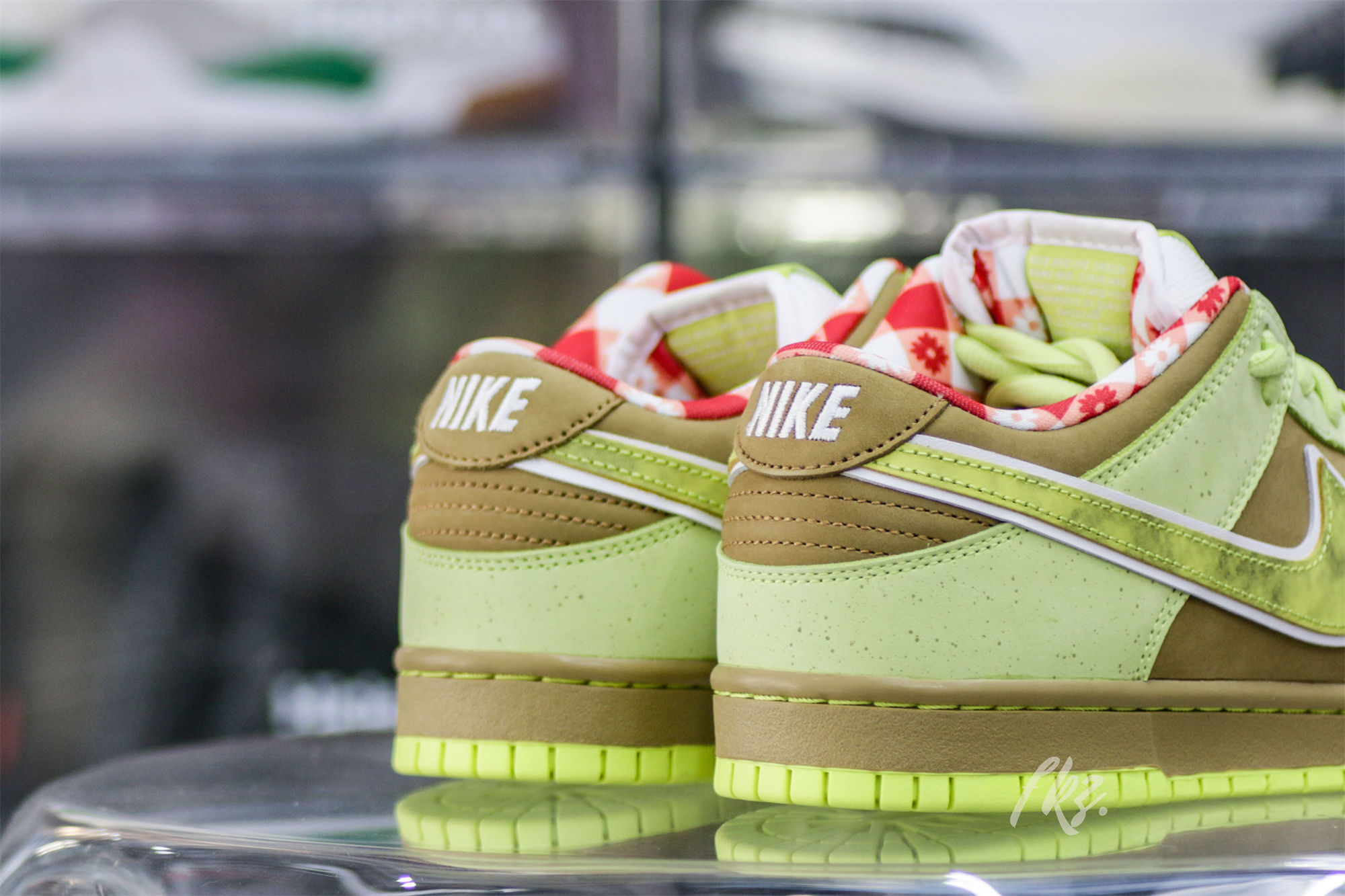 Nike SB Dunk Low Dunk Lobster Green Brown
