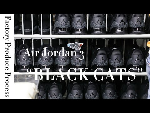 Air Jordan 3 Black Cat 2025 (A1 Batch)