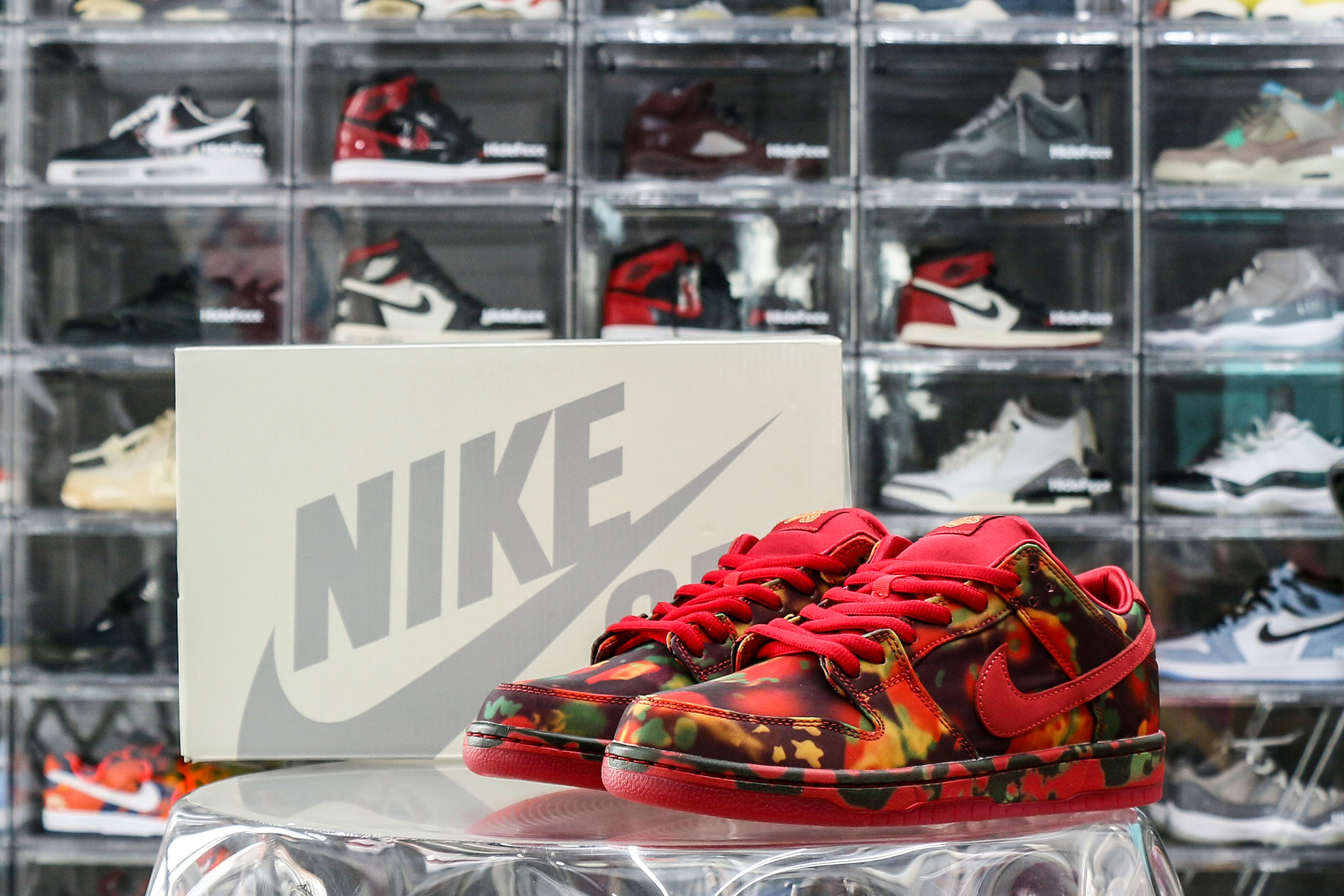 Nike SB Dunk Low The Wizard of Oz Poppy Field